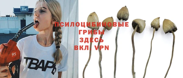 стафф Абинск