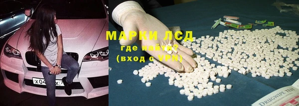 прущие грибы Абдулино