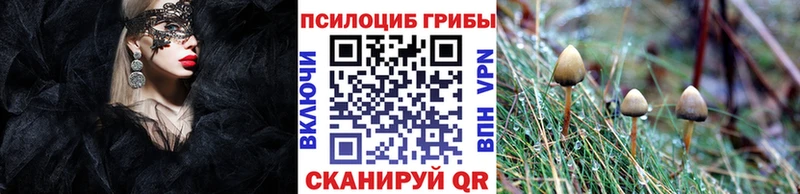 мориарти Telegram  Монино  Галлюциногенные грибы Psilocybine cubensis 